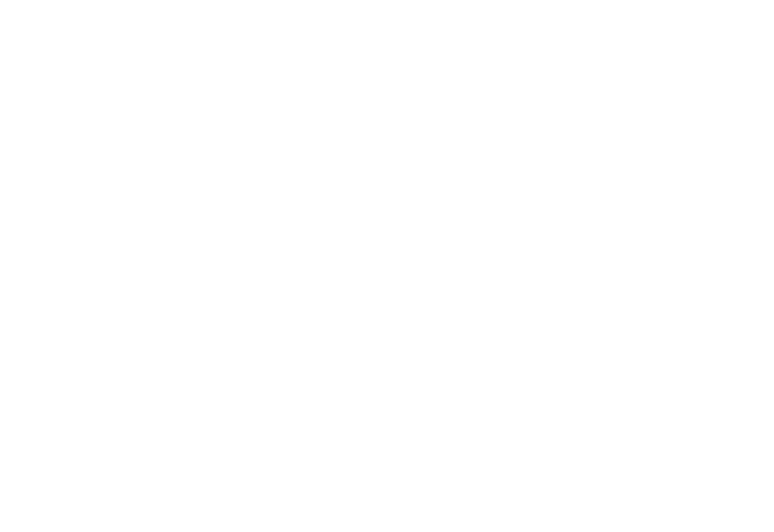 IPS Group